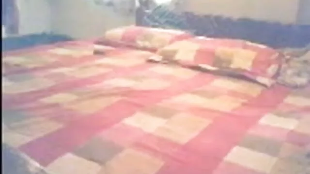 पूसा 491 बीएफ ब्लू मूवी