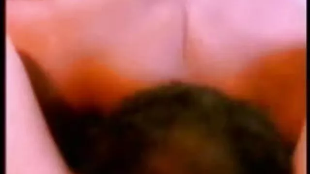 गधा गड़बड़ सेक्सी बीएफ मूवी वीडियो