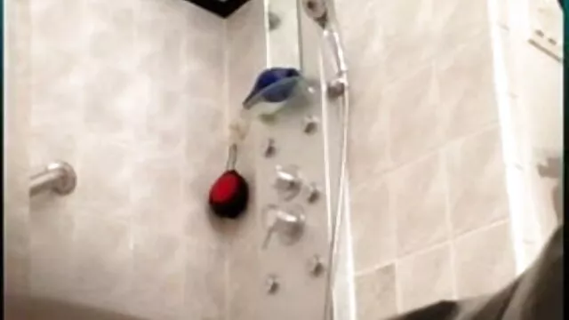 सही सेक्सी मूवी बीएफ वीडियो चेक शरीर