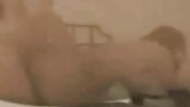 सभी आंतरिक बिल्ली ड्रिलिंग में समाप्त होता अंग्रेजी बीएफ मूवी है