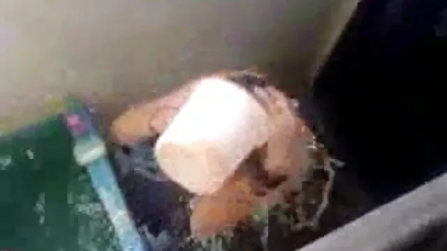 बड़ी लूट पर उछल गुलाबी थरथानेवाला सेक्सी बीएफ अंग्रेजी मूवी