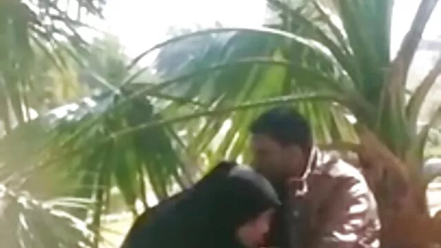 पार्किंग