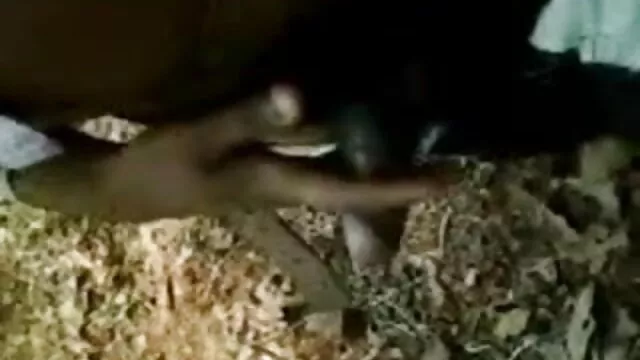 डॉक्टर सेक्सी बीएफ फिल्म मूवी उसकी सेक्सी नर्स