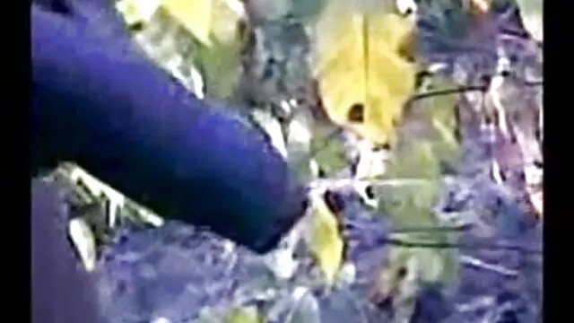 एशियाई श्यामला शौचालय पर सेक्सी मूवी बीएफ वीडियो उसे सीएलआई