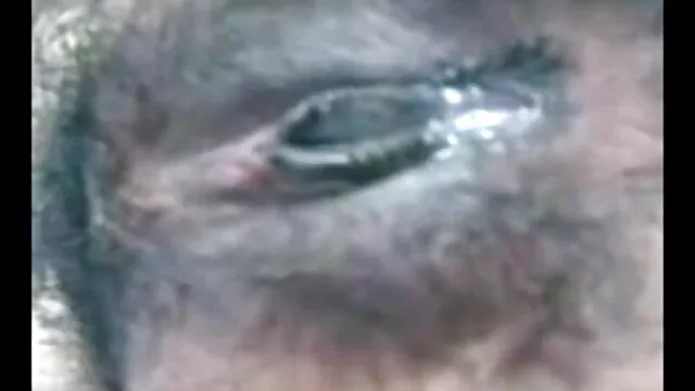 नीना उसे सेक्सी बीएफ एचडी मूवी मालिश