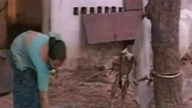प्यारा शौकिया डबल बीएफ सेक्सी वीडियो मूवी के साथ मिलकर और क्रीम पाई