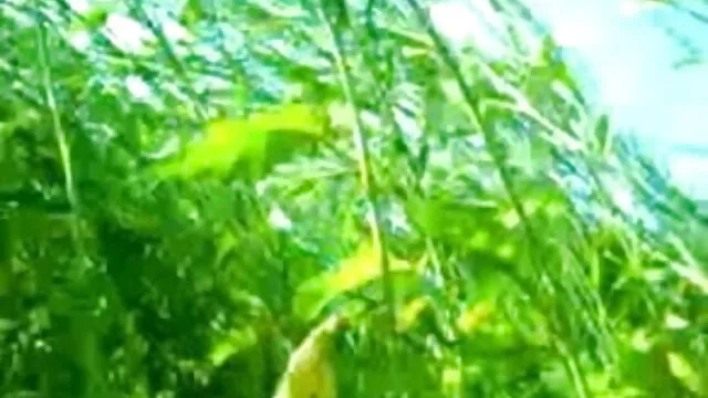 संचिका एमआईएलए प्यार करता है बीएफ मूवी सेक्सी में बीबीसी