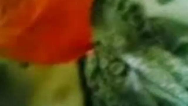 श्यामला बीएफ सेक्सी मूवी फिल्म दादी फर्श पर
