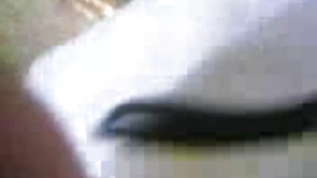 बड़े स्तन के साथ महान देता बीएफ सेक्सी मूवी फिल्म है